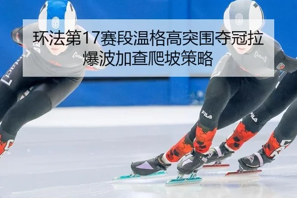 huan-fa-di-sai-duan-wen-ge-gao-tu-wei-duo-guan-la-bao-bo-jia-cha-pa-po-ce-lve-3-641.jpg
