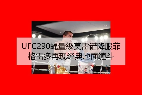 UFC290蝇量级莫雷诺降服菲格雷多再现经典地面缠斗